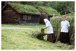 Old grass hut