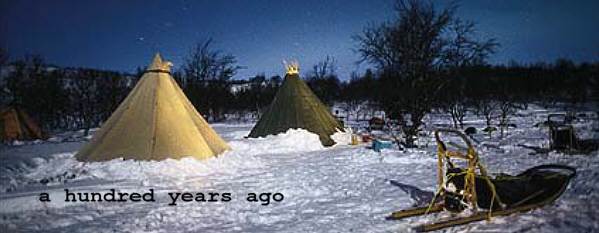 Husky sled camp